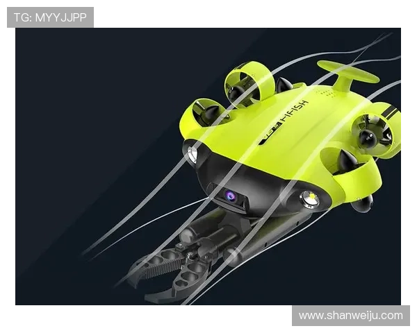 亚搏AG旗舰厅：创新的游戏玩法设计带来新鲜体验，满足不同玩家的个性化需求