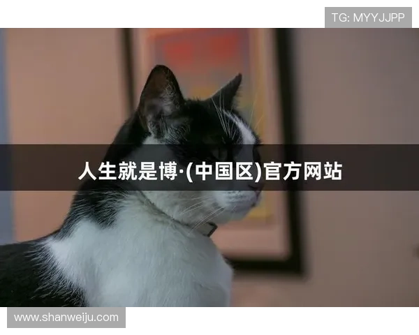 尊龙人生就是博首页介绍：多样化的游戏模式与特色玩法深度解析