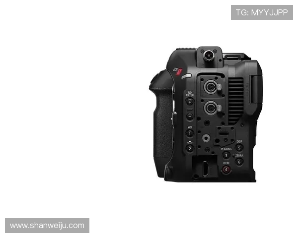 尊龙z6.com手机登录安全保障措施详解确保玩家账号信息安全与隐私保护